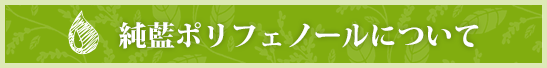 さらさら体感！純藍ポリフェノールについて