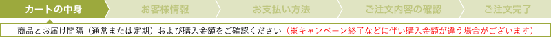 Cart_navi01